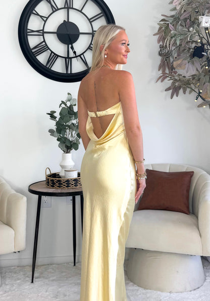 Everlasting Elegance Dress