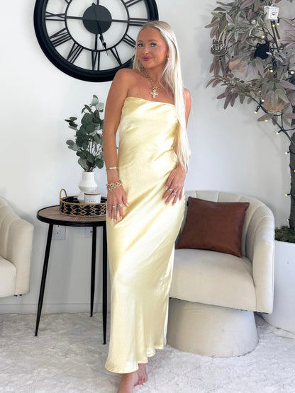 Everlasting Elegance Dress