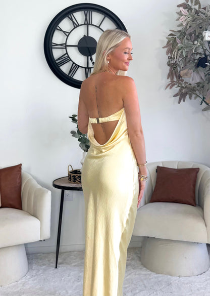 Everlasting Elegance Dress