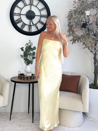 Everlasting Elegance Dress